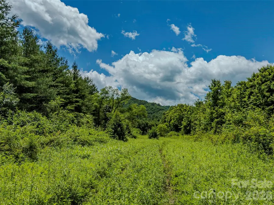 TBD Canebrake Road, Pisgah Forest, NC 28768 - #3