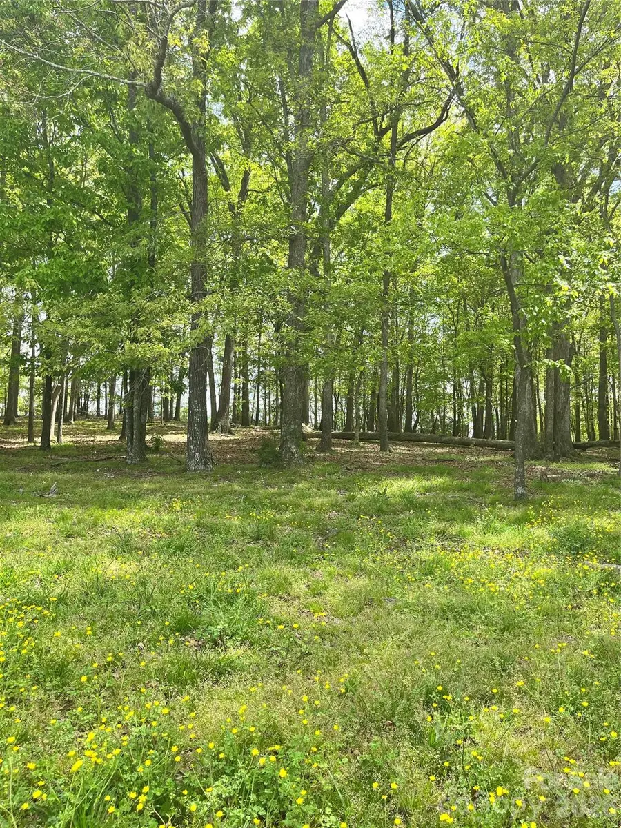 001 Wolf Pond Road, Monroe, NC 28112 - #3
