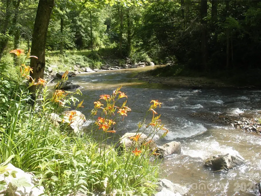 TBD Bear River Lodge Trail #124, Marshall, NC 28753 - #2