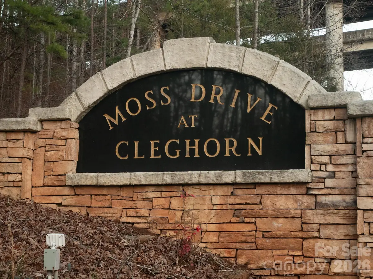 00 Moss Drive, Rutherfordton, NC 28139 - #1