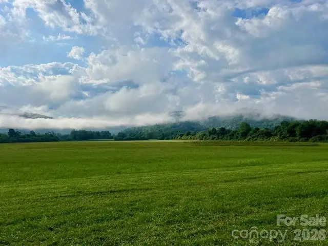 Mini Farm 2 TBD Coventry Drive, Brevard, NC 28712 - #3
