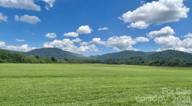 Mini Farm 3 TBD Coventry Drive, Brevard, NC 28712 - #2