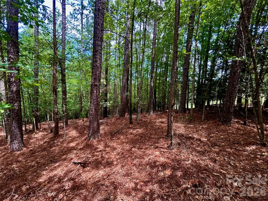 118 Edgewater Court, Granite Falls, NC 28630 - #3