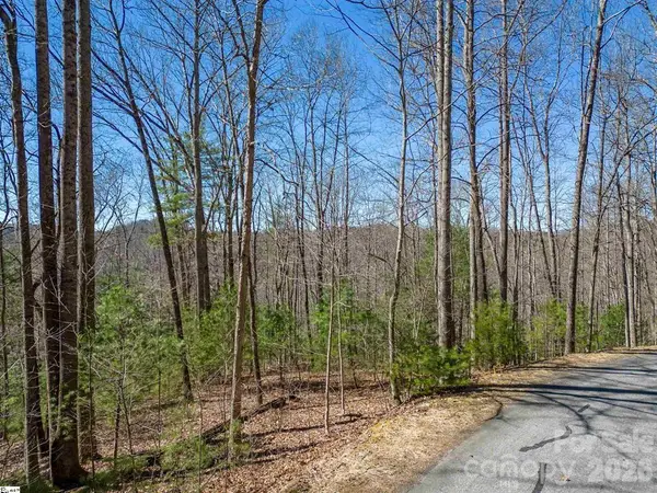 132 Overlook Park Drive #51, Hendersonville, NC 28792