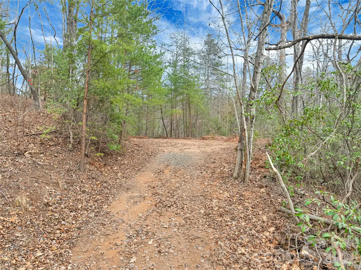 TBD Deep Woods Lane #102, Saluda, NC 28773 - #1