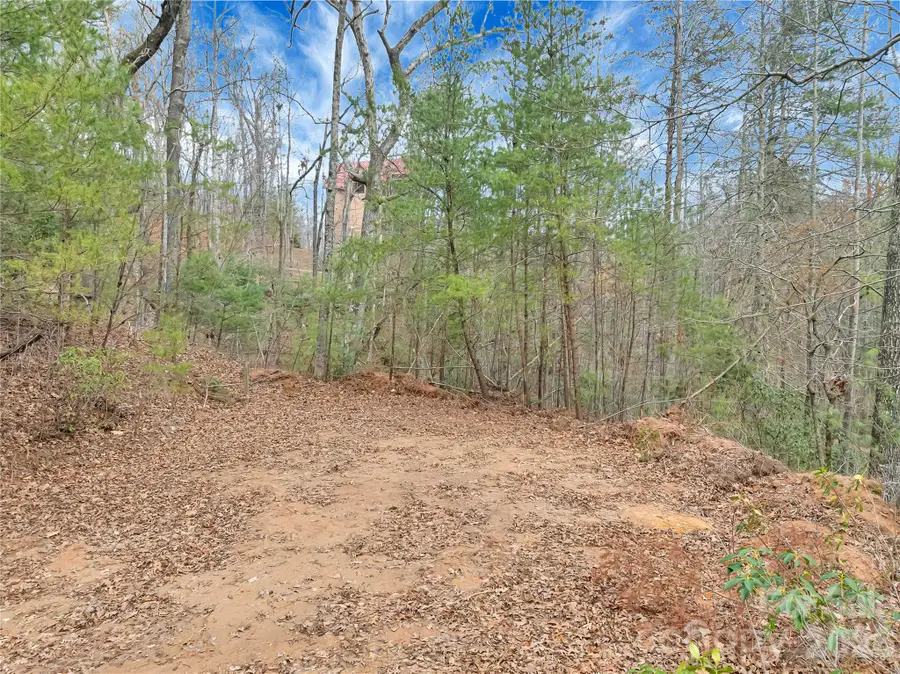 TBD Deep Woods Lane #102, Saluda, NC 28773 - #3