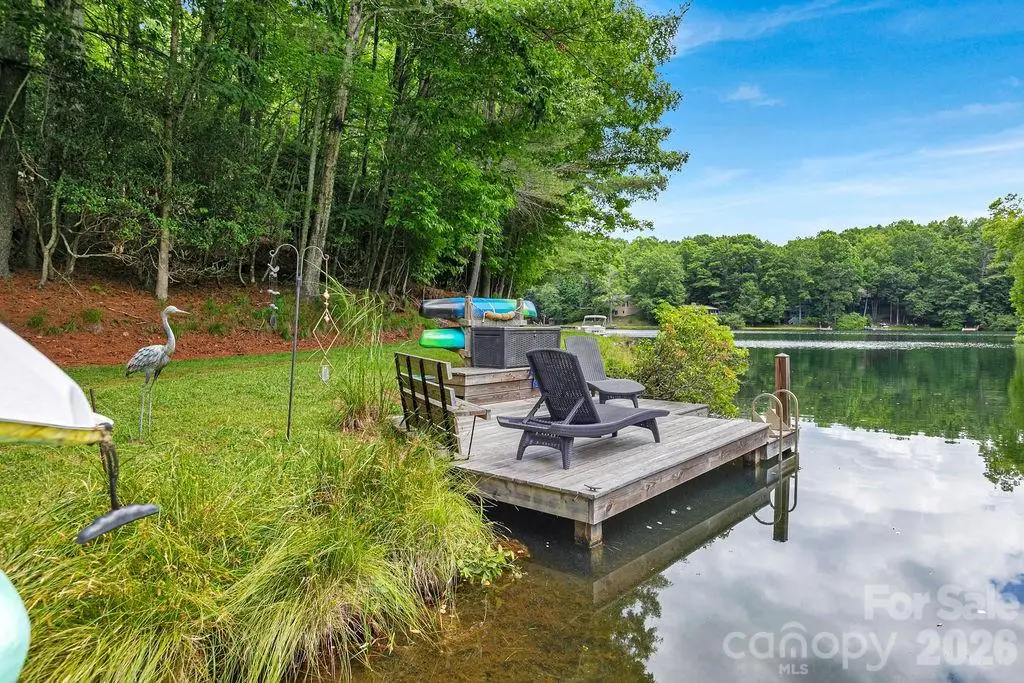 3125 Connestee Trail, Brevard, NC 28712 - #1