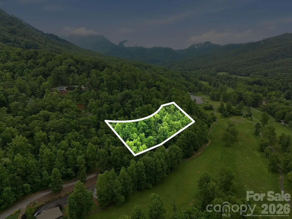 9999 Blue Ridge Drive S, North Cove, NC 28765 - #1