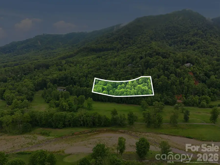 9999 Blue Ridge Drive S, North Cove, NC 28765 - #2