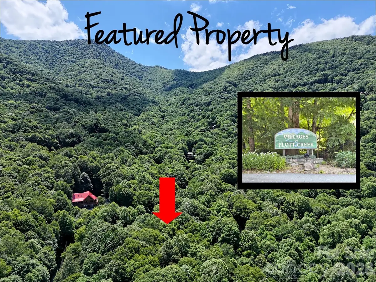 0 Serenity Mountain Road #108, Waynesville, NC 28786 - #1