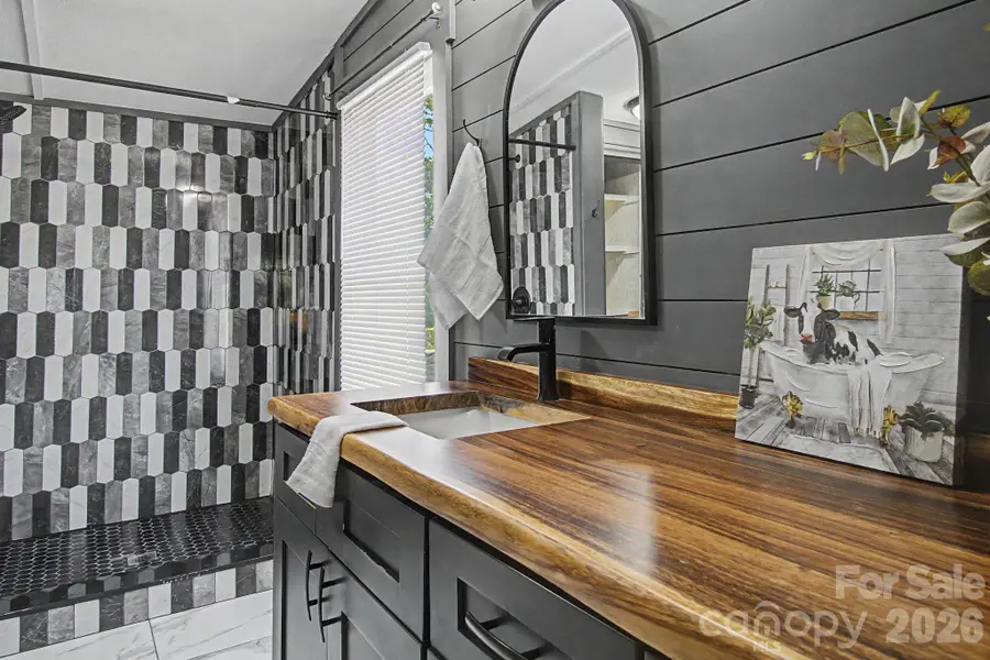 1011 Reed Street, Asheville, NC 28804 - #3