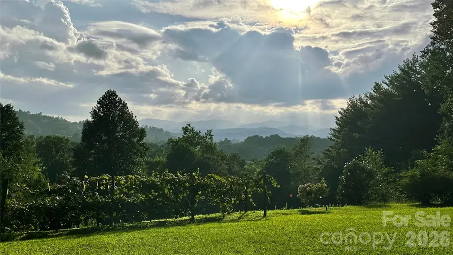 293 Sun Meadow Lane, Pisgah Forest, NC 28768 - #2