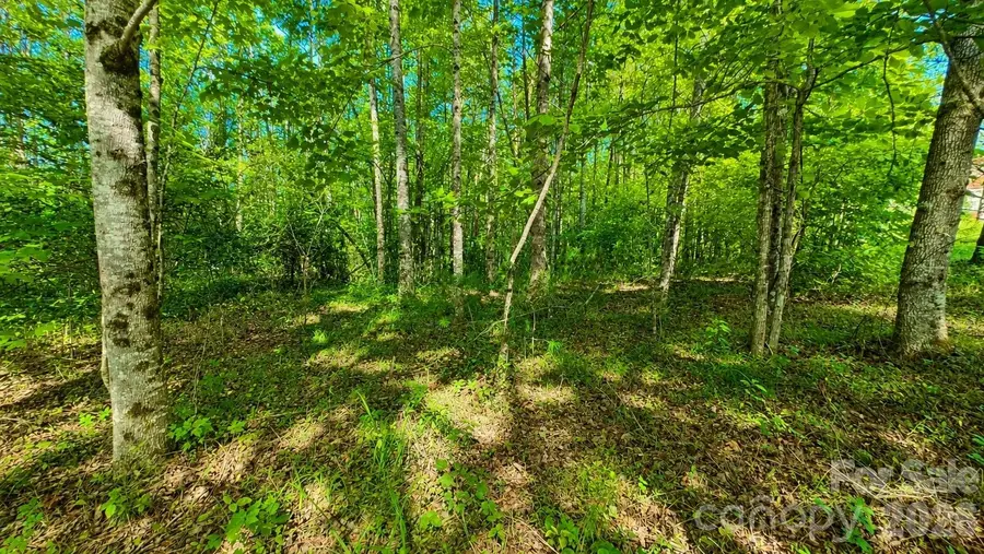CB17 Emerald Court #CB17, Johns River, NC 28634 - #3