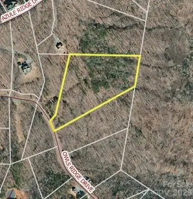 0 Owls Ridge Drive #154, Bostic, NC 28018 - #2
