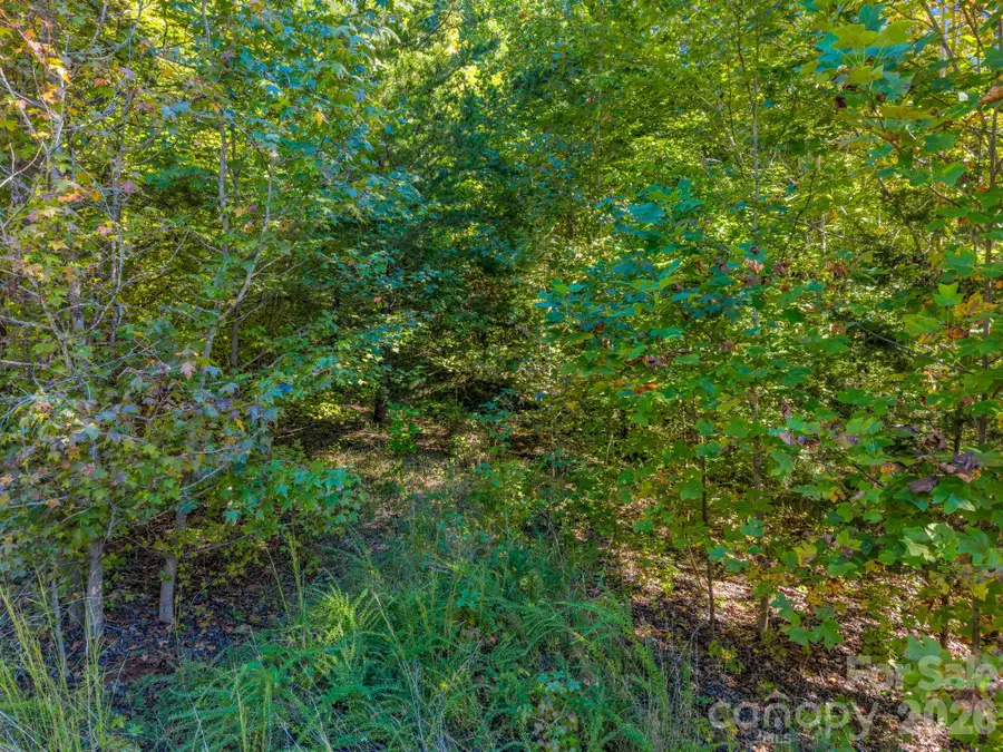 0 Owls Ridge Drive #154, Bostic, NC 28018 - #3