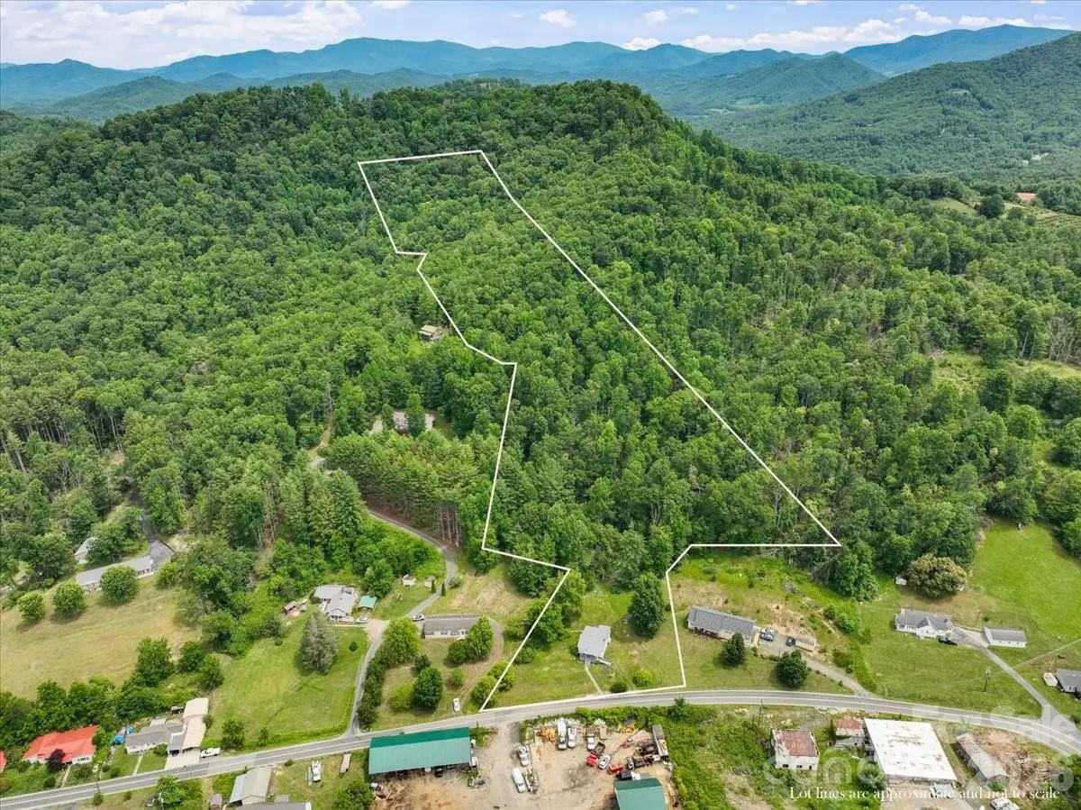 659 Newdale Church Road, Burnsville, NC 28714 - #1