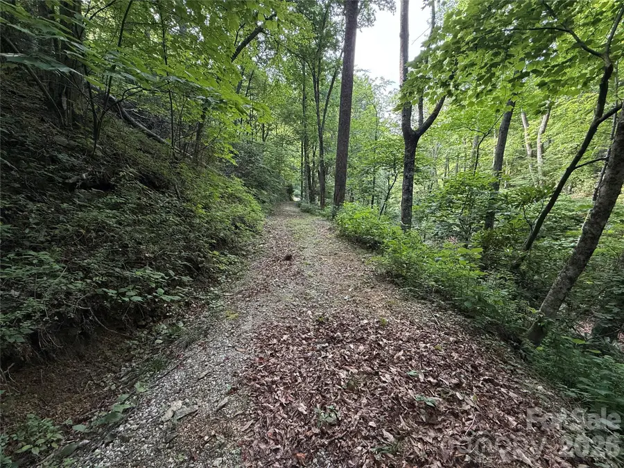 64 Clay View Drive, Fairview, NC 28730 - #2