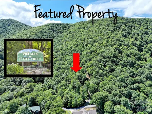 00 Rising Sun Road #338, Waynesville, NC 28786