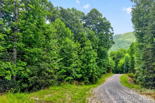 213 Mitchell View N #213MV, Old Fort, NC 28762