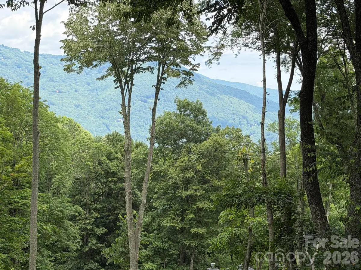 Lot 5 Gadohi Trail #5, Maggie Valley, NC 28751 - #1