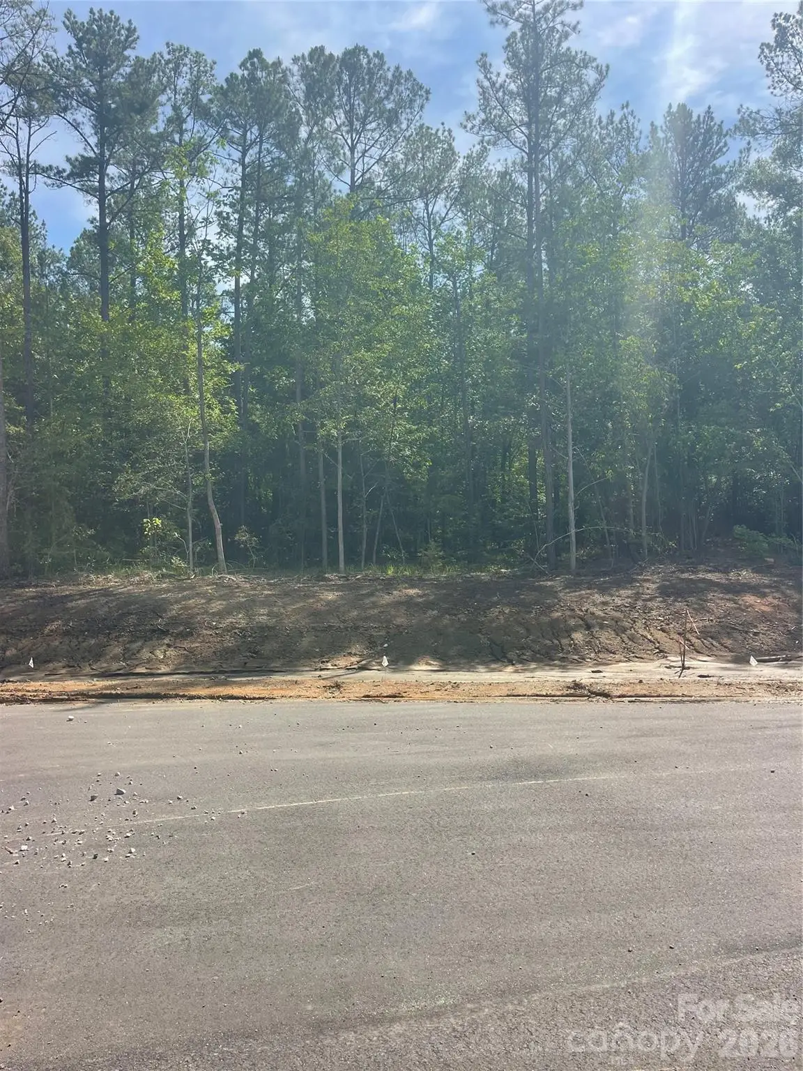 729 Everwood Drive, McConnells, SC 29726 - #1