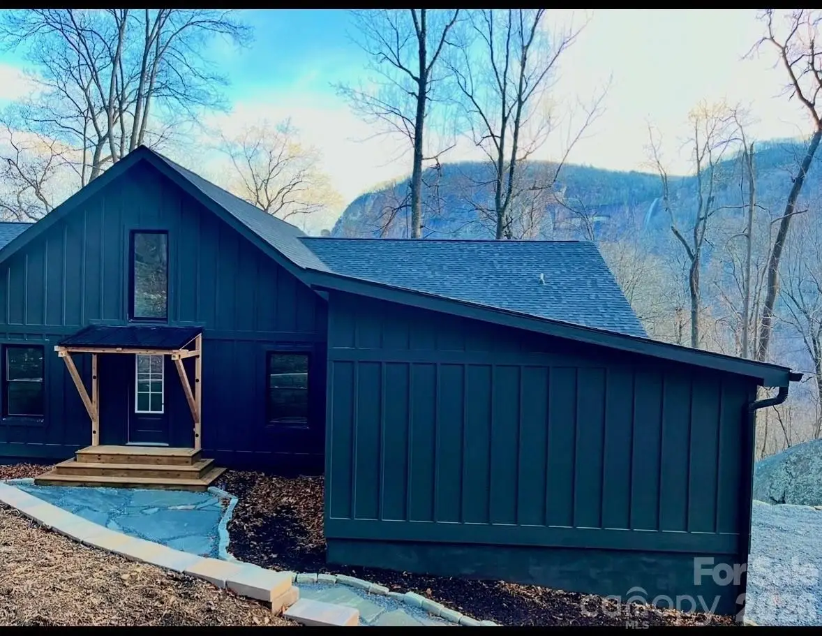384 Cascada Vista Drive, Chimney Rock, NC 28720 - #1