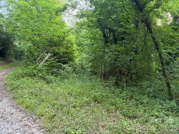 00 Heavenly View Drive, Sylva, NC 28779