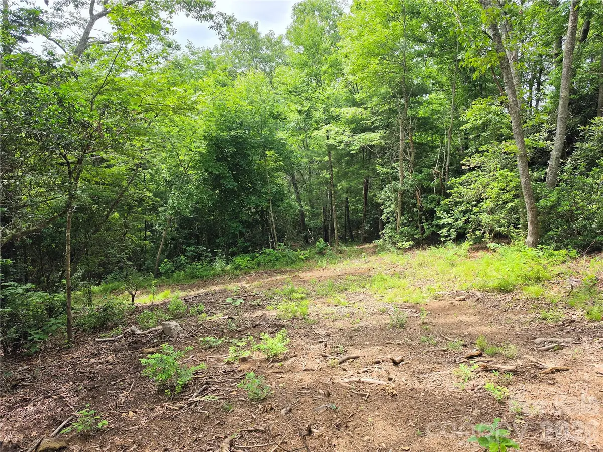 9999 Fairview Forest Drive, Fairview, NC 28730 - #1