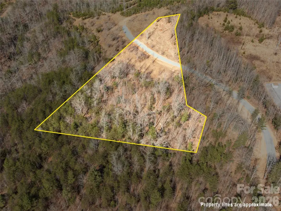 LOT #1 Price Summit Way, Mill Spring, NC 28756 - #3
