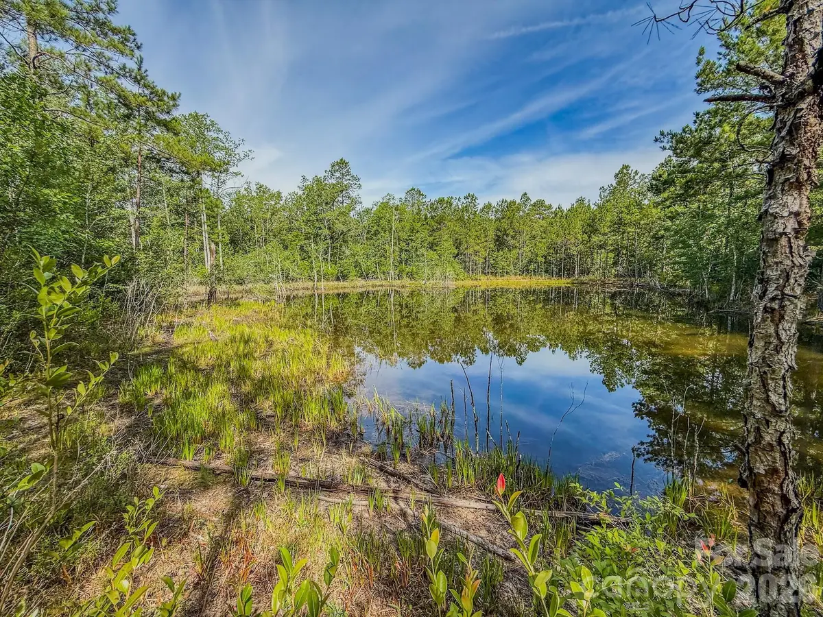 0 Hwy 1 Highway, Patrick, SC 29584 - #1