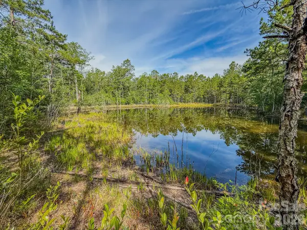 0 Hwy 1 Highway, Patrick, SC 29584