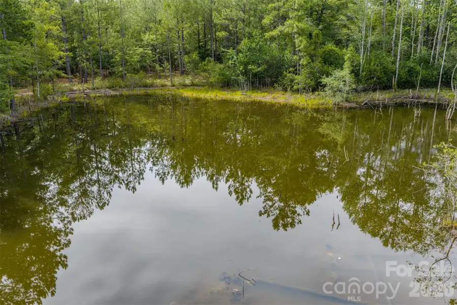 0 Hwy 1 Highway, Patrick, SC 29584 - #3