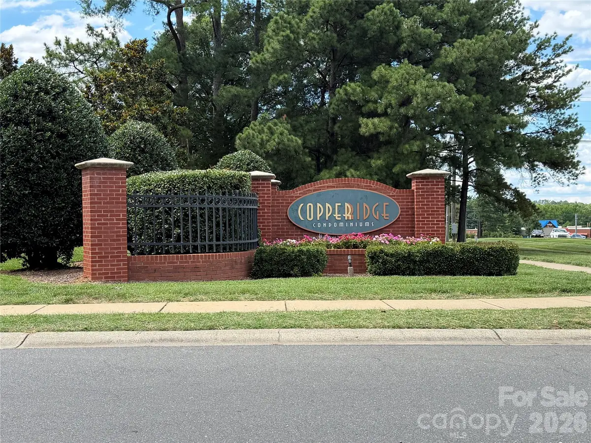 17110 Red Feather Drive, Charlotte, NC 28277 - #1