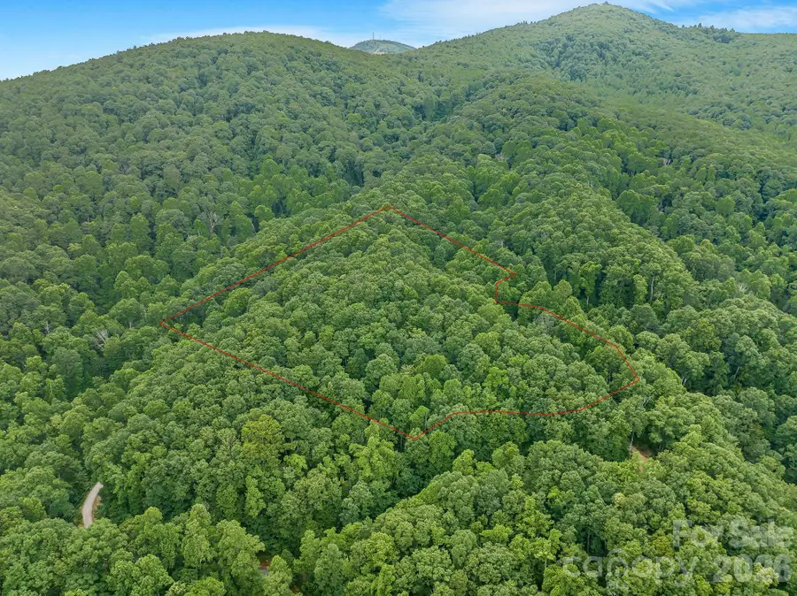 8 Carls Cove Road, Black Mountain, NC 28711 - #2
