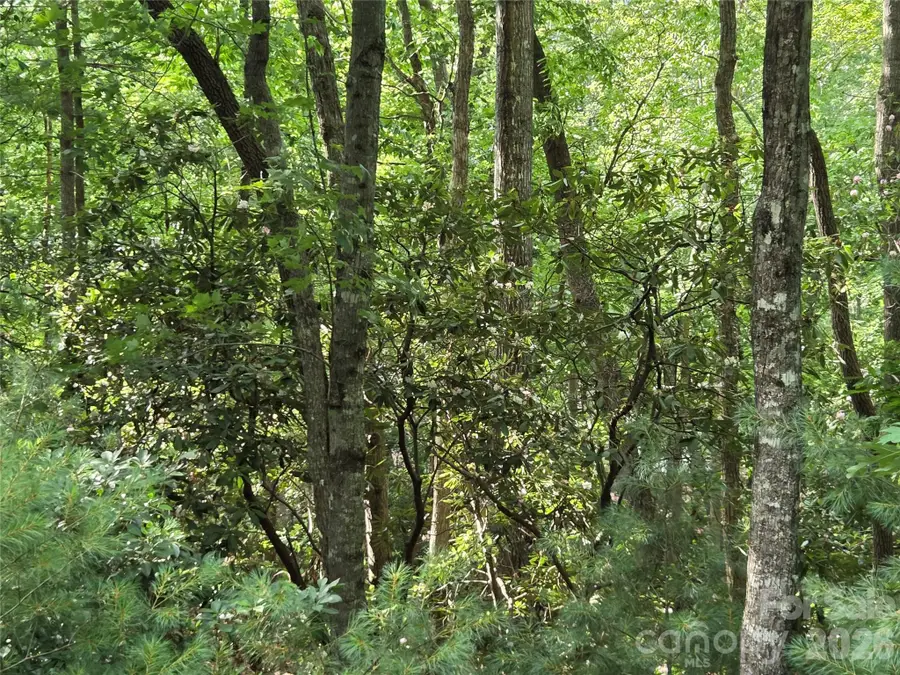 27 Dividing Ridge Trail #14, Arden, NC 28704 - #3