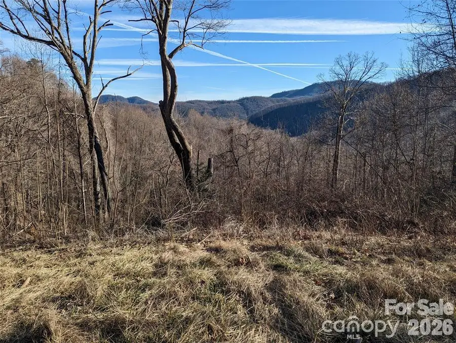 117 Ironwood Lane #C-20, Black Mountain, NC 28711 - #3