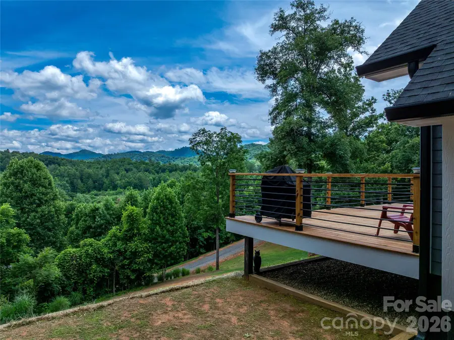 143 Fox Grape Hollow Road, Mars Hill, NC 28754 - #3