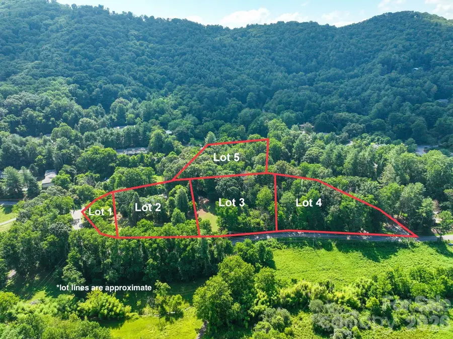 379 Chunns Cove Road, Asheville, NC 28805 - #3