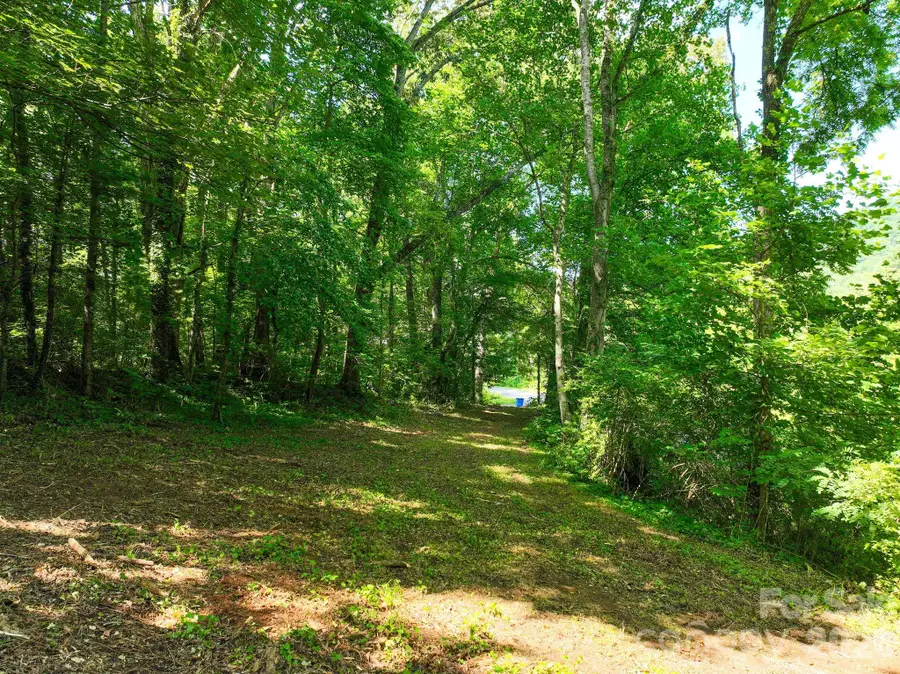 371 Chunns Cove Road, Asheville, NC 28805 - #2