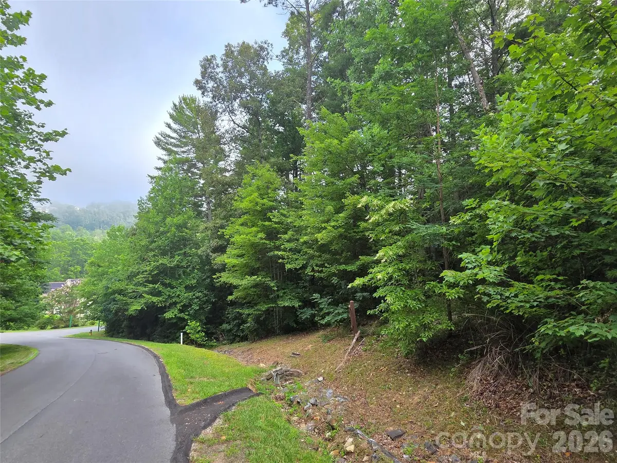 16 Courseview Drive, Weaverville, NC 28787 - #1
