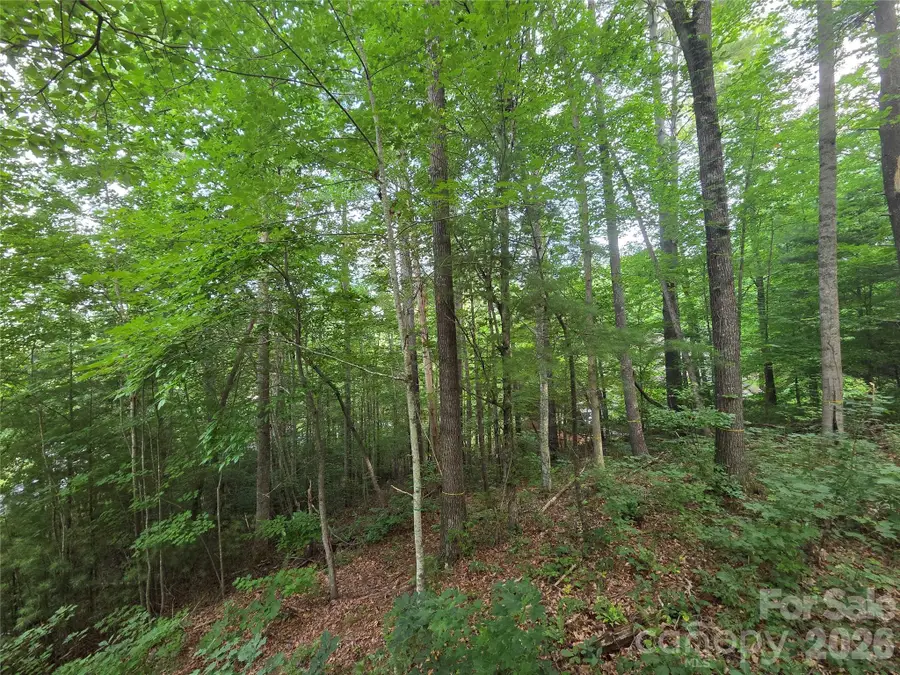 16 Courseview Drive, Weaverville, NC 28787 - #3