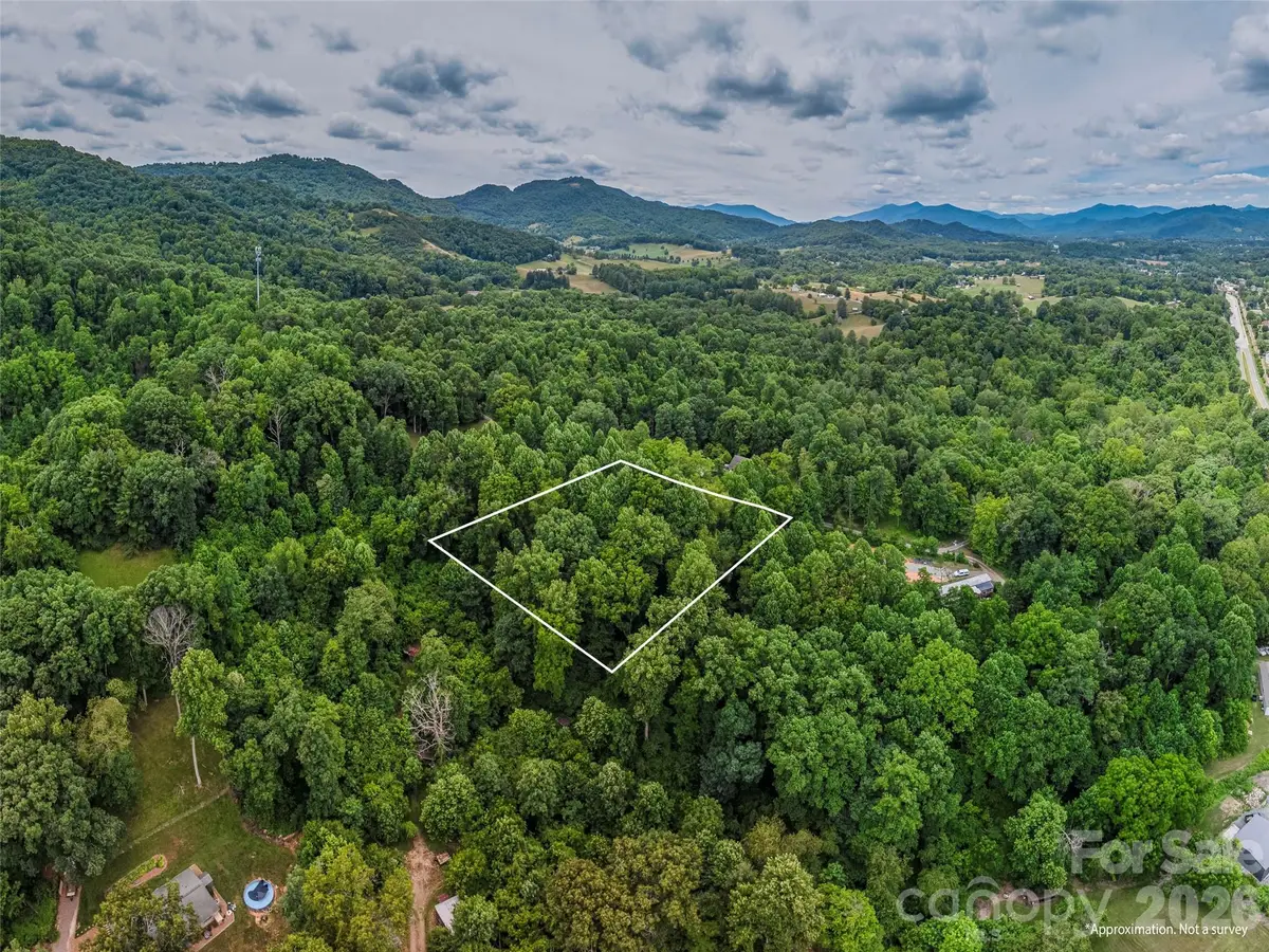 241 Clyde View Heights, Clyde, NC 28721 - #1