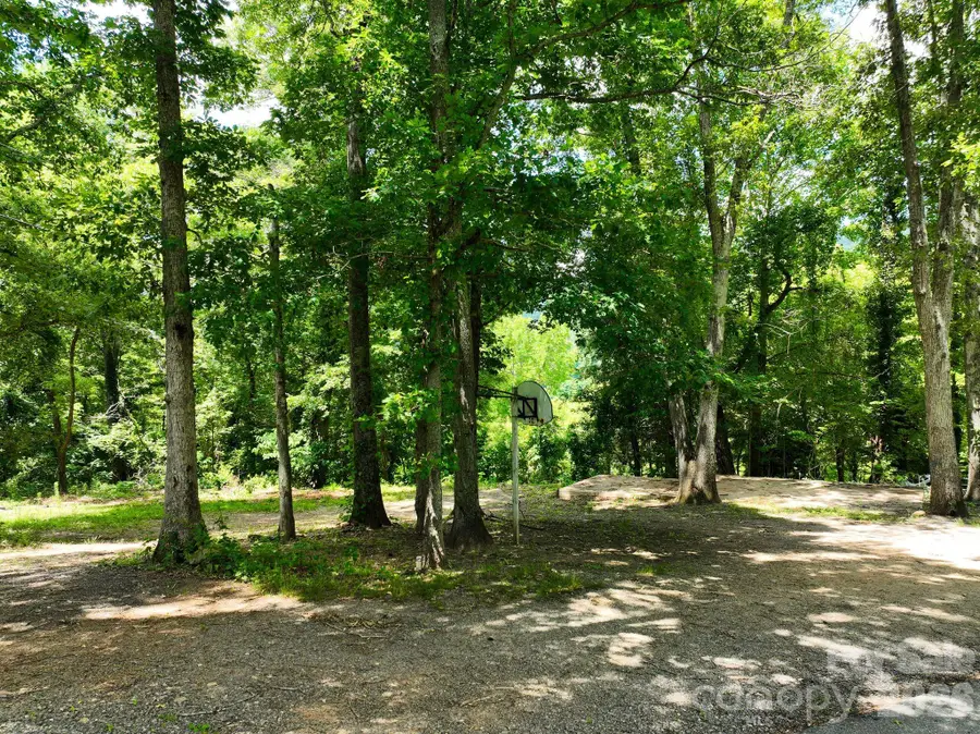 99999 Chunns Cove Road, Asheville, NC 28805 - #3