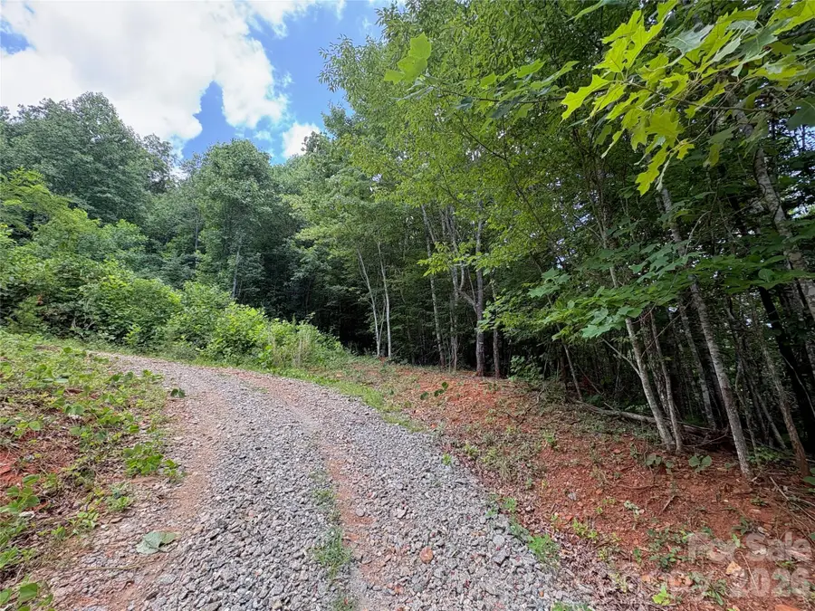 289 Champange Ridge, Lake Lure, NC 28746 - #3