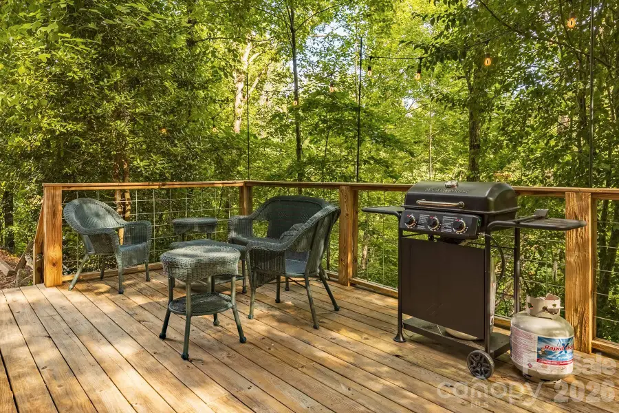 112 Eagle Nest Road, Bryson City, NC 28713 - #3