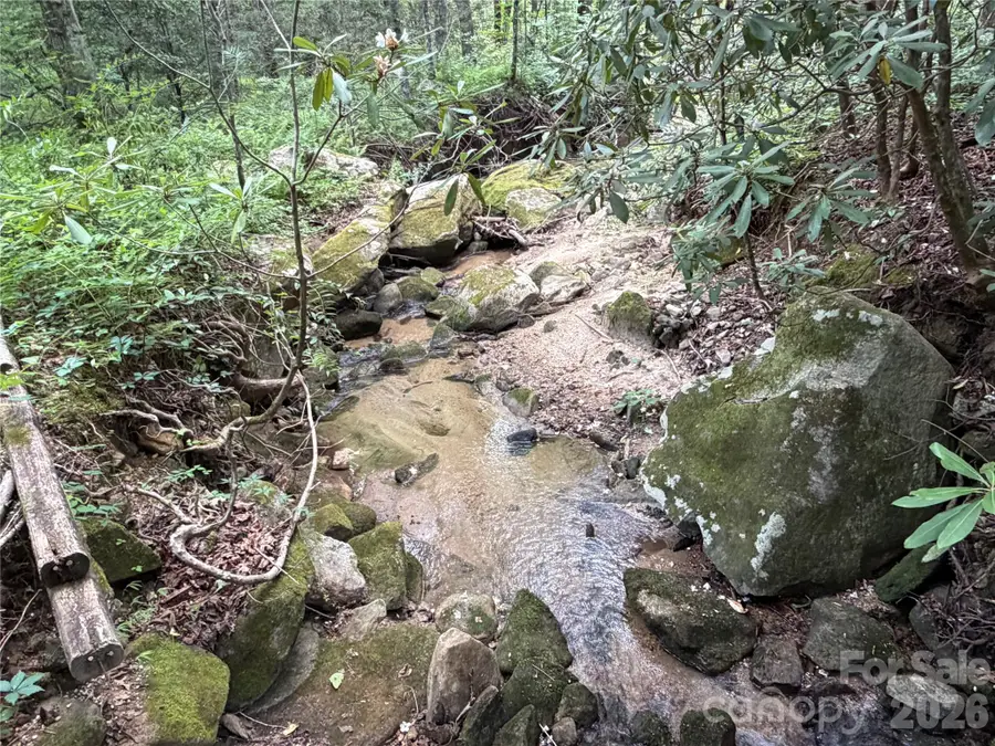 141 Hemlock Lane #3, Lake Lure, NC 28746 - #2