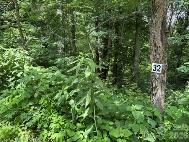 Lot 32 Toi Trail #32, Maggie Valley, NC 28751 - #1