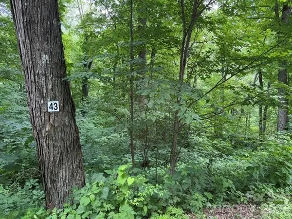 Lot 43 Gata Trail #43, Maggie Valley, NC 28751