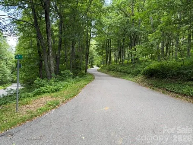 Lot 43 Gata Trail #43, Maggie Valley, NC 28751 - #2