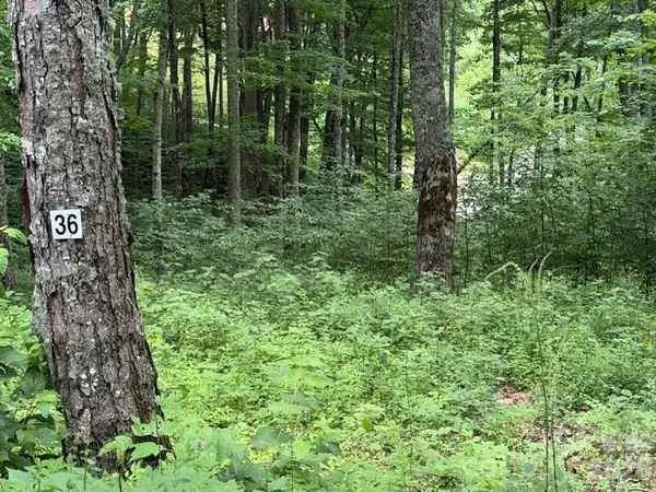 Lot 36 Odalu Trail #36, Maggie Valley, NC 28751